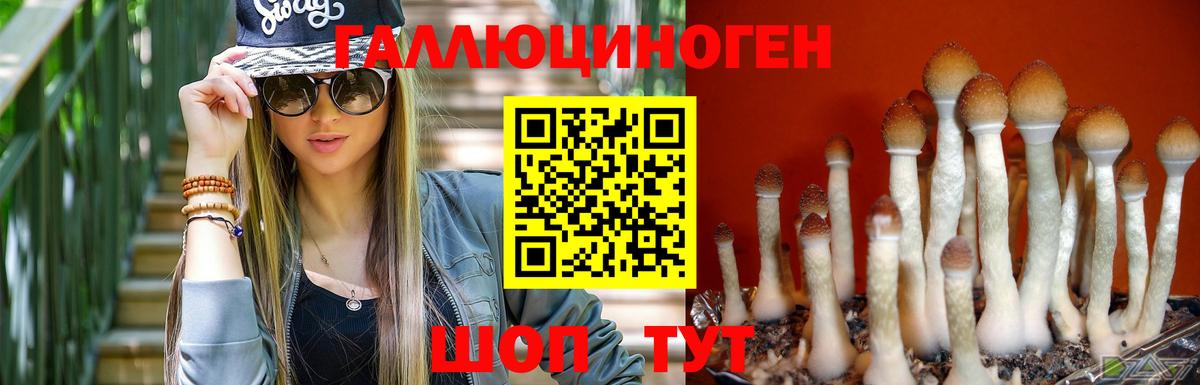 Псилоцибиновые грибы ЛСД  Вход с VPN  Ростов-на-Дону 